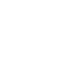 Speedy Info Solution